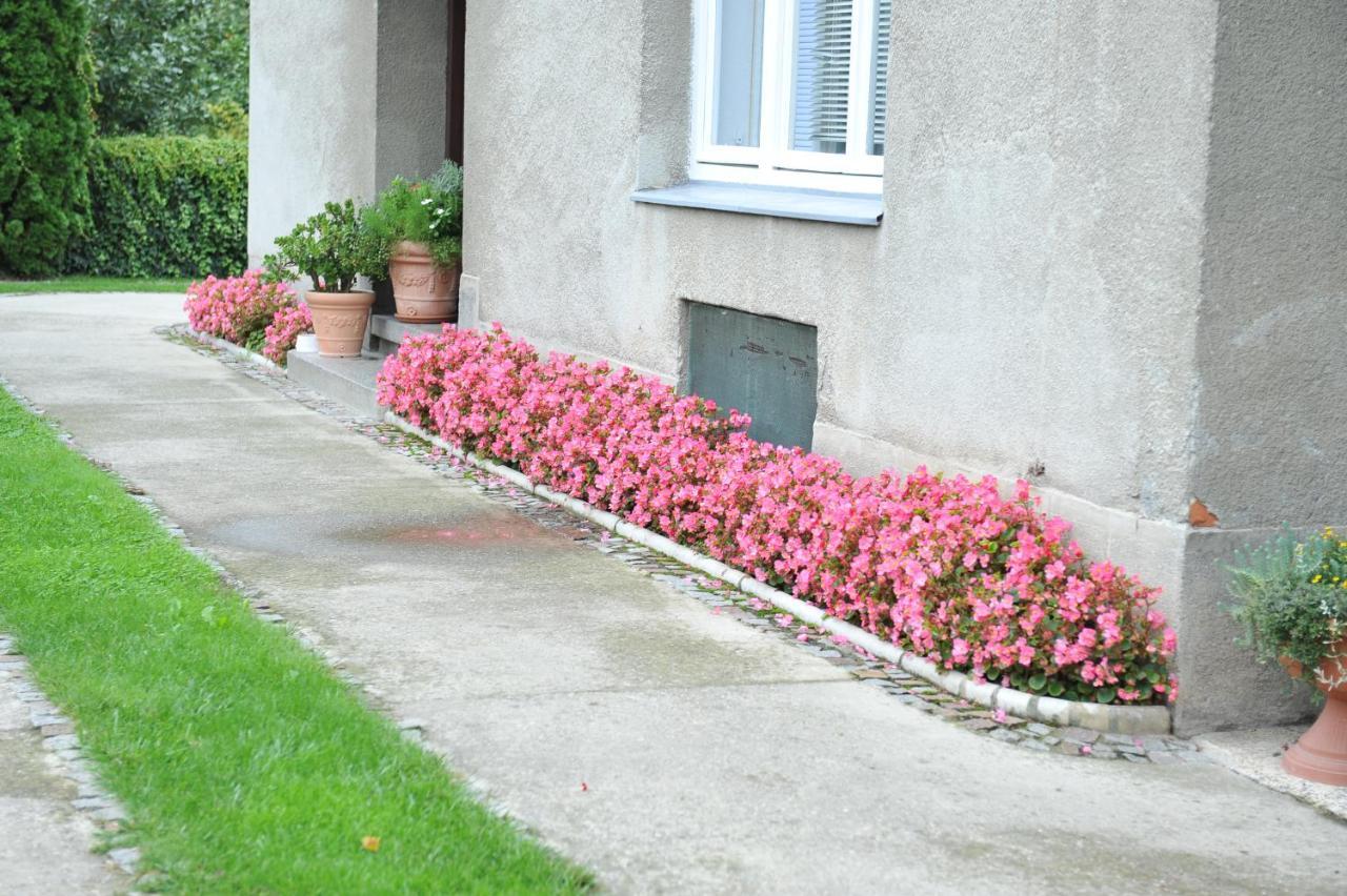 Studio Apartman D&D Varazdin Ngoại thất bức ảnh